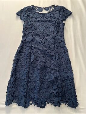 NWOT Lulus Navy Floral Lace Backless Mini Dress